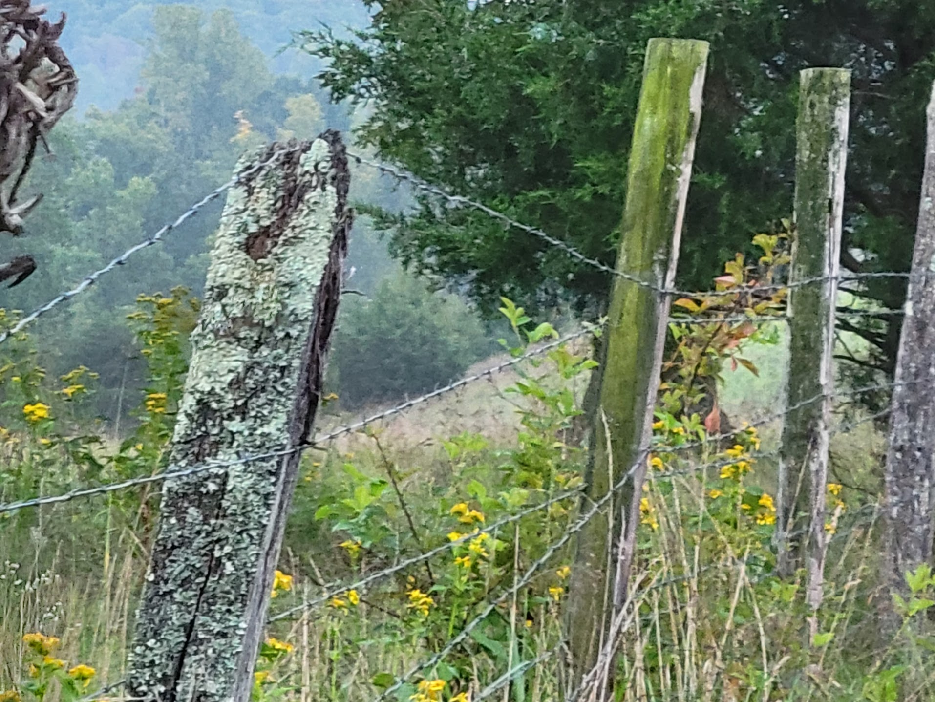 Appalachia