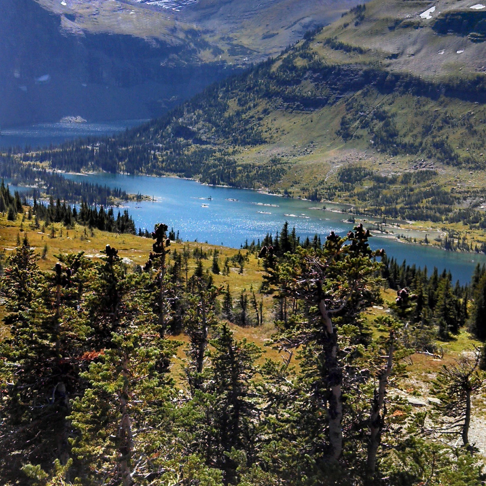 Glacier